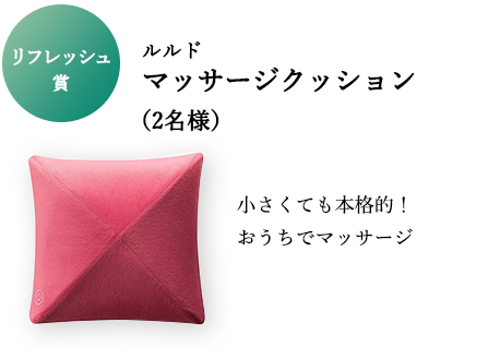 リフレッシュ賞 ルルド マッサージクッション（2名様） 小さくても本格的！おうちでマッサージ